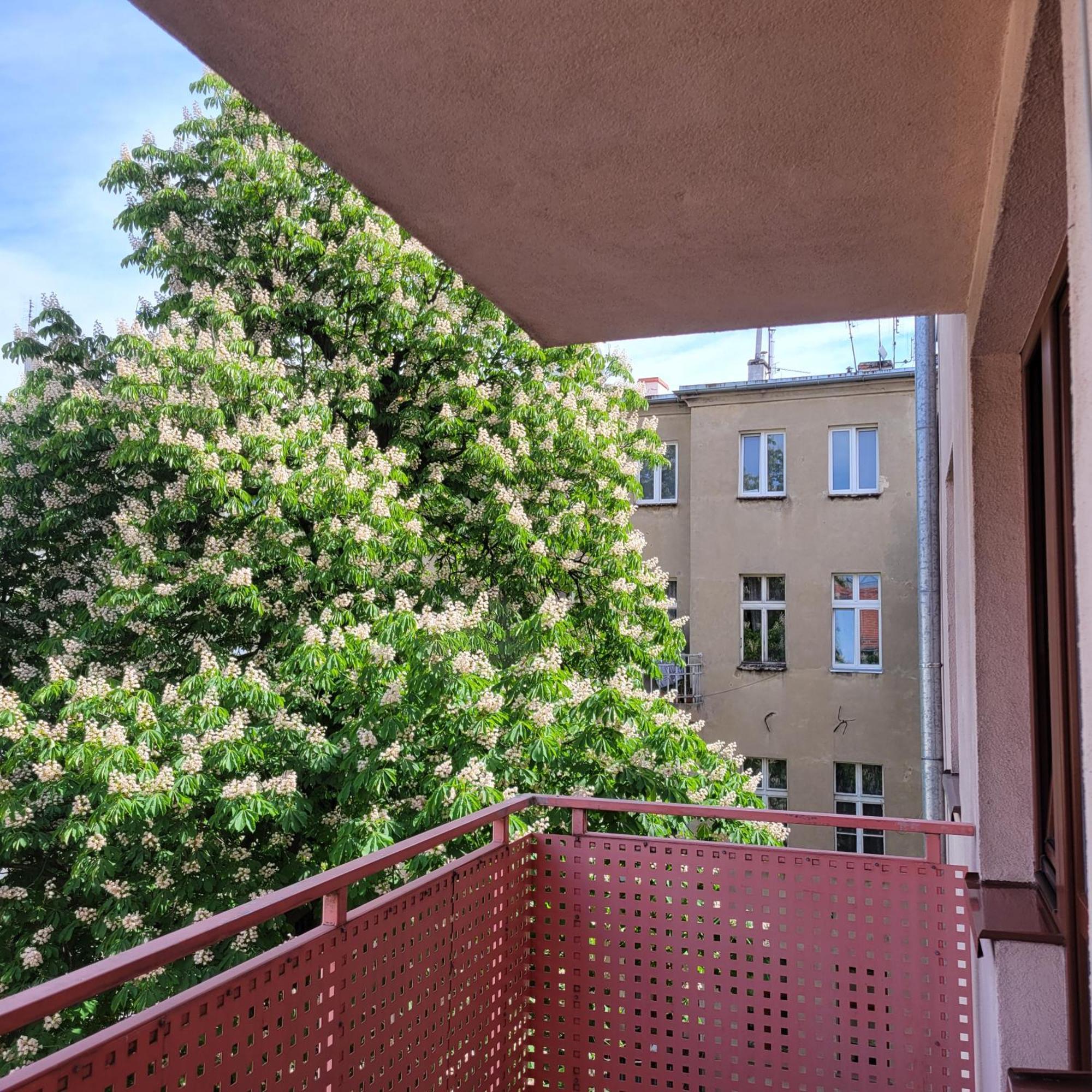Aura Apartment Вроцлав Екстер'єр фото
